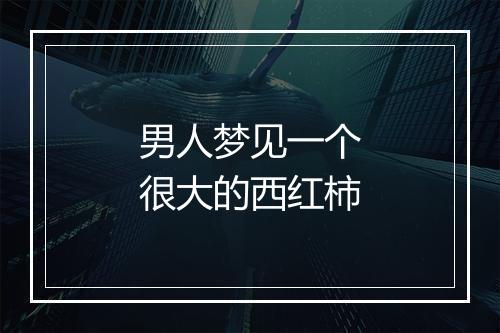 男人梦见一个很大的西红柿