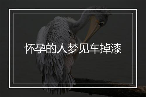 怀孕的人梦见车掉漆