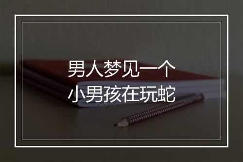 男人梦见一个小男孩在玩蛇