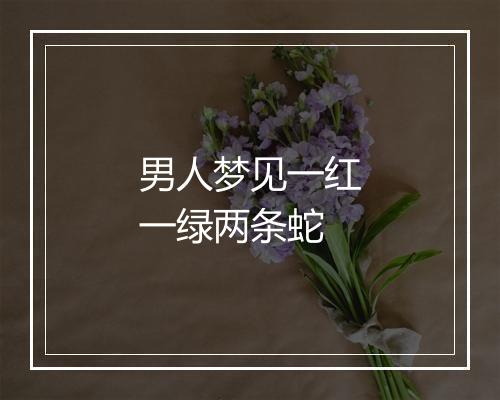 男人梦见一红一绿两条蛇