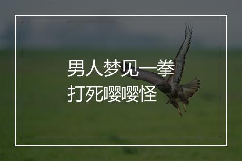 男人梦见一拳打死嘤嘤怪