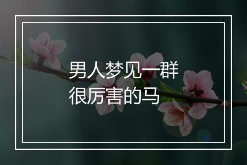 男人梦见一群很厉害的马