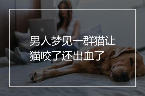 男人梦见一群猫让猫咬了还出血了