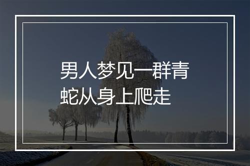 男人梦见一群青蛇从身上爬走