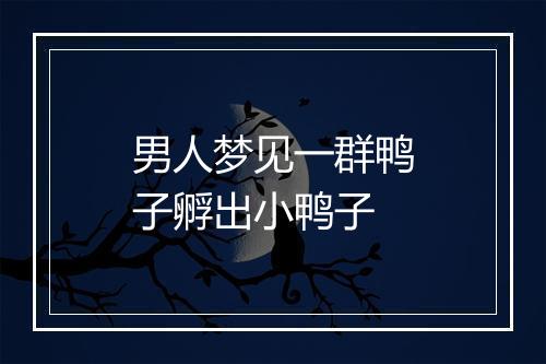 男人梦见一群鸭子孵出小鸭子