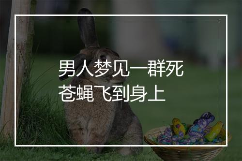 男人梦见一群死苍蝇飞到身上