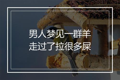 男人梦见一群羊走过了拉很多屎