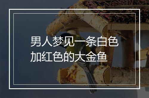 男人梦见一条白色加红色的大金鱼