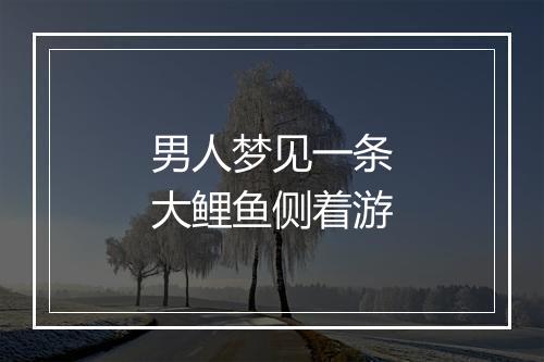 男人梦见一条大鲤鱼侧着游