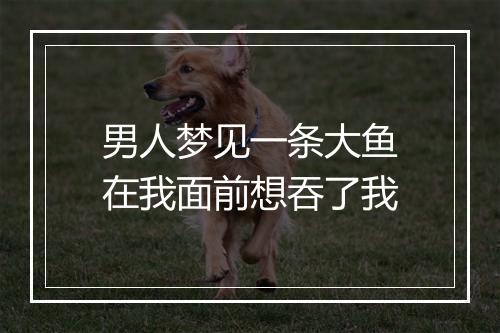 男人梦见一条大鱼在我面前想吞了我