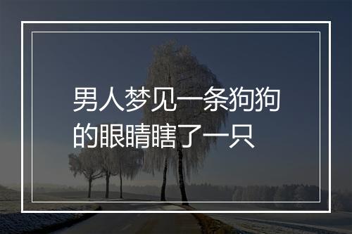 男人梦见一条狗狗的眼睛瞎了一只