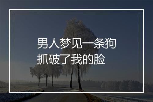 男人梦见一条狗抓破了我的脸