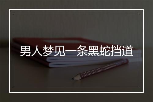 男人梦见一条黑蛇挡道