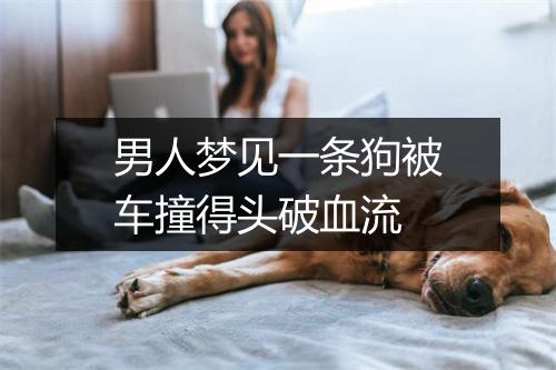 男人梦见一条狗被车撞得头破血流