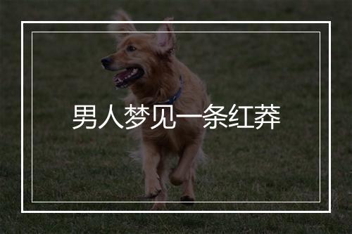 男人梦见一条红莽