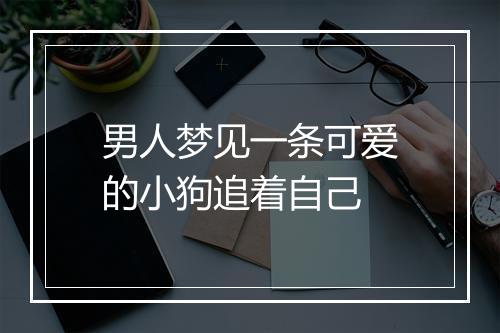 男人梦见一条可爱的小狗追着自己