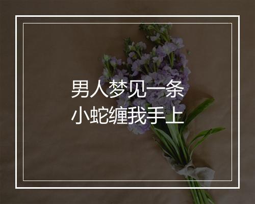 男人梦见一条小蛇缠我手上