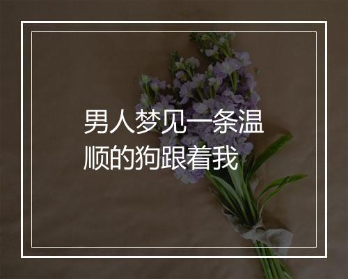 男人梦见一条温顺的狗跟着我