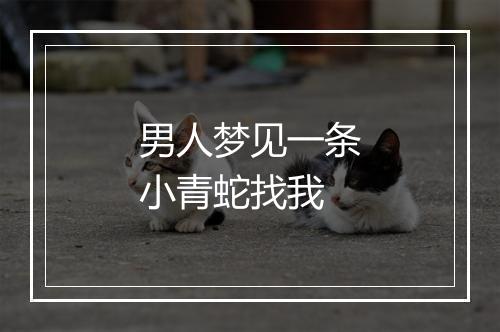 男人梦见一条小青蛇找我