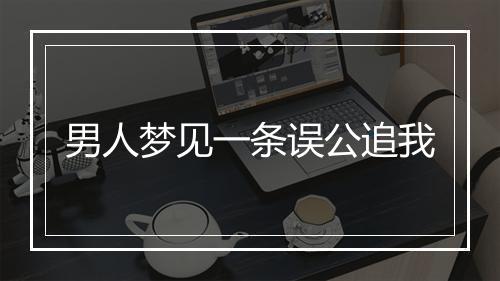 男人梦见一条误公追我