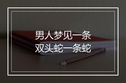 男人梦见一条双头蛇一条蛇