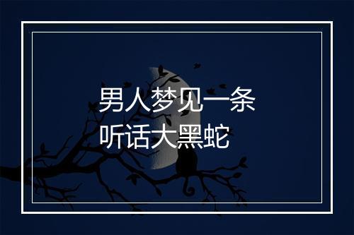 男人梦见一条听话大黑蛇