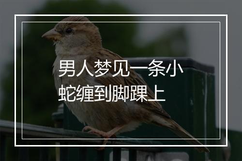 男人梦见一条小蛇缠到脚踝上