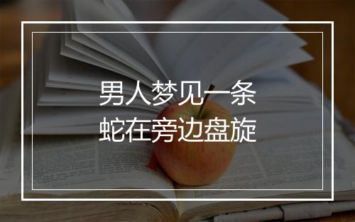 男人梦见一条蛇在旁边盘旋