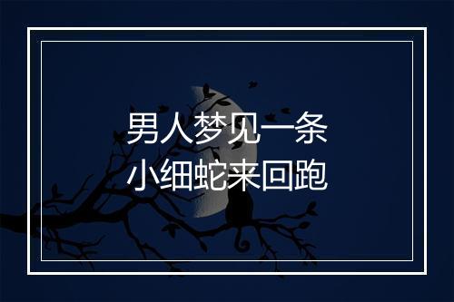 男人梦见一条小细蛇来回跑