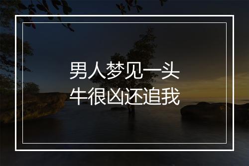 男人梦见一头牛很凶还追我