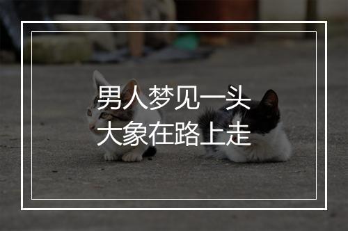 男人梦见一头大象在路上走