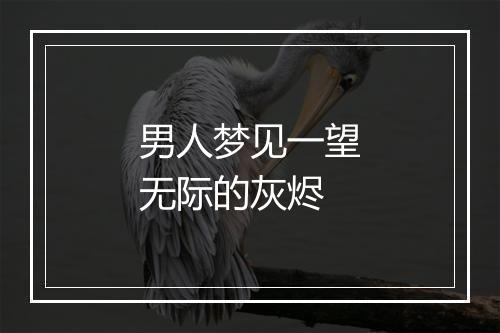 男人梦见一望无际的灰烬