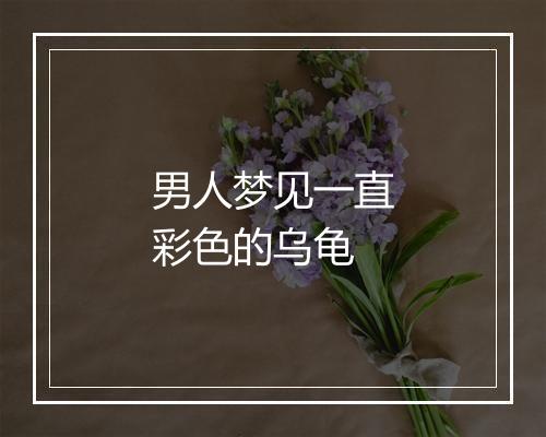 男人梦见一直彩色的乌龟