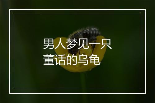 男人梦见一只董话的乌龟