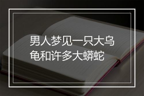 男人梦见一只大乌龟和许多大蟒蛇