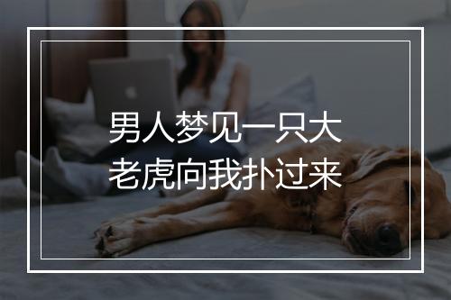 男人梦见一只大老虎向我扑过来