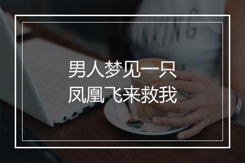 男人梦见一只凤凰飞来救我