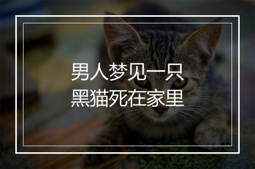 男人梦见一只黑猫死在家里