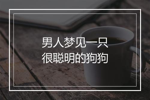 男人梦见一只很聪明的狗狗