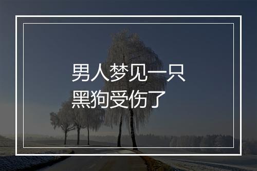 男人梦见一只黑狗受伤了