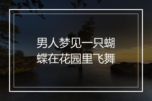 男人梦见一只蝴蝶在花园里飞舞