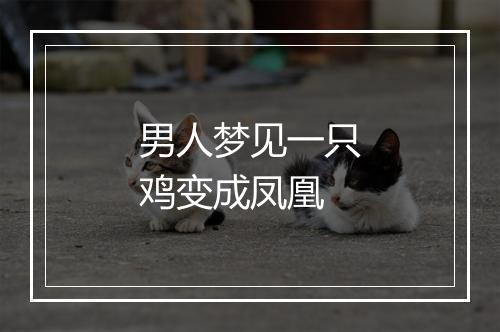 男人梦见一只鸡变成凤凰