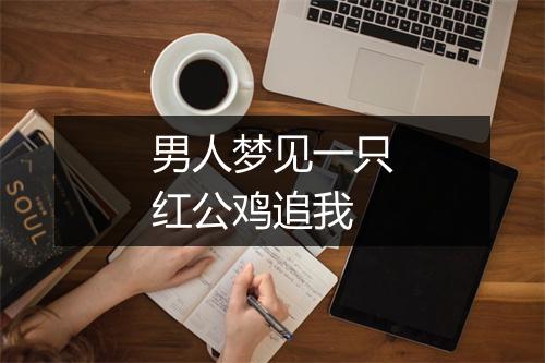 男人梦见一只红公鸡追我