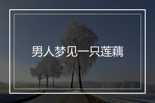 男人梦见一只莲藕