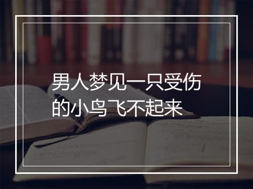 男人梦见一只受伤的小鸟飞不起来