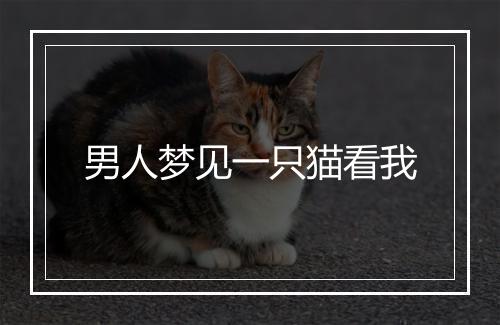 男人梦见一只猫看我