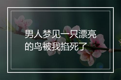 男人梦见一只漂亮的鸟被我掐死了