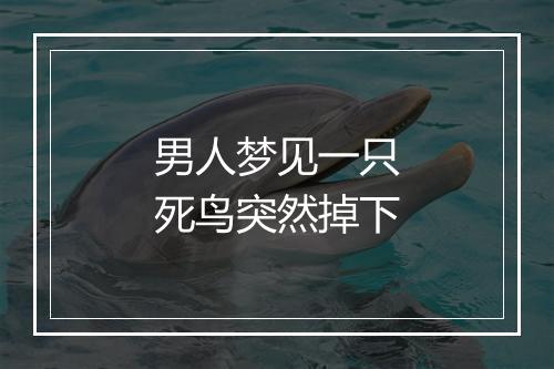 男人梦见一只死鸟突然掉下