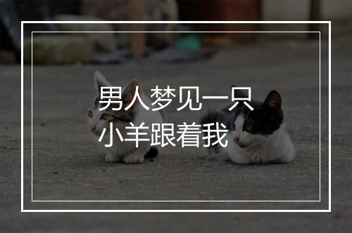 男人梦见一只小羊跟着我