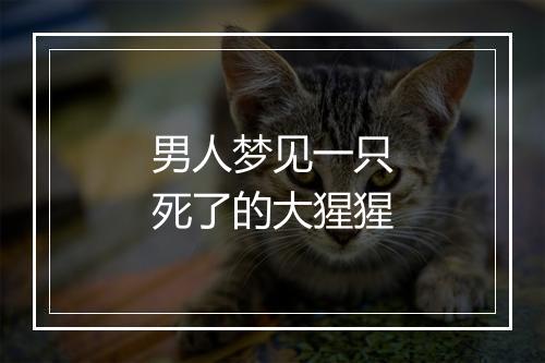 男人梦见一只死了的大猩猩